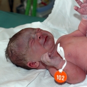 snad se ještě vybarví