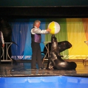 Pěkné show.
