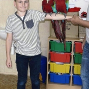 Jedna fotečka ze školní družiny - papoušek byl nádhernej