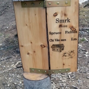 Už jsem viděl dub, buk a ještě chyběl smrk