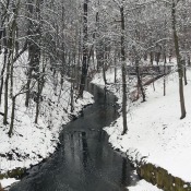 20190203_133412