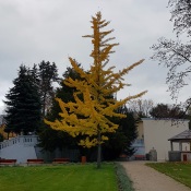 20201031_142419