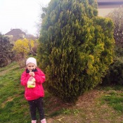 IMG_20210405_111305